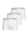 IMPETUS Boxershorts zilvergrijs / wit