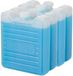 Thermos Mini koelelementen - 4x stuks - 100 gram - 8 x 9 x 2.3 cm - Koelen