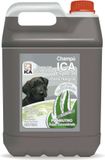 Ica Shampoo Pnegro 5Lts Aloë Vera