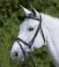 WALDHAUSEN STAR HOOFDSTEL DIAMOND Groen