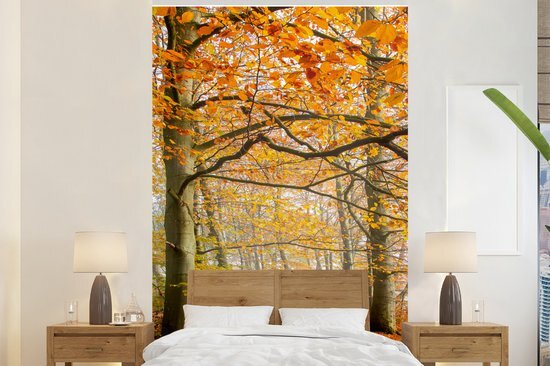 Nr1Wallpaper Behang - Fotobehang Herfst - Bos - Denemarken - Breedte 200 cm x hoogte 300 cm