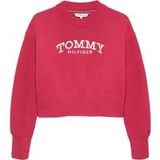 Tommy Hilfiger Girls Tommy Sweater Vintage Cerise Größe: 3Y