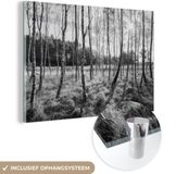 MuchoWow® Glass Painting 180x120 cm - Acrylic Glass Painting - Europe - Tree - Black - White - Photo on Glass - Paintings