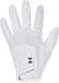 Under Armour Gant de golf pour homme Iso Chill Blanc