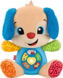 Fisher-Price JFD26 Leerplezier Educatief Speelgoed Nederlands