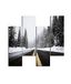 Homemania Wandfoto, winter-4, natuur en landschappen per woonkamer, meerkleurig, 76 x 0,3 x 50 cm, HM204PMDF4, MDF