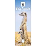 CarouselCalendars Carrousel Worldwide WWF Calendrier mural 2027 Motif bébé animaux
