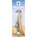 CarouselCalendars Carrousel Worldwide WWF Calendrier mural 2027 Motif bébé animaux