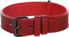 Denver Flamingo Denver Gevoerd Halsband Hond Leer Rood M/L 44-54cm 40mm