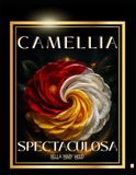 Camellia Spectaculosa: The Ultimate Camellia Collection