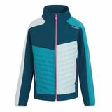 Regatta Brynden Softshelljack Blauw 13 Ans Garçon