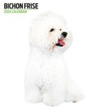 Magnet & Steel Bichon Frise Kalender 2024 Wandkalender