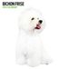 Magnet & Steel Bichon Frise Kalender 2024 Wandkalender