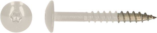pgb-Europe PGB-FASTENERS HPL schroef Tx20 4,8x32 R9001 A4
