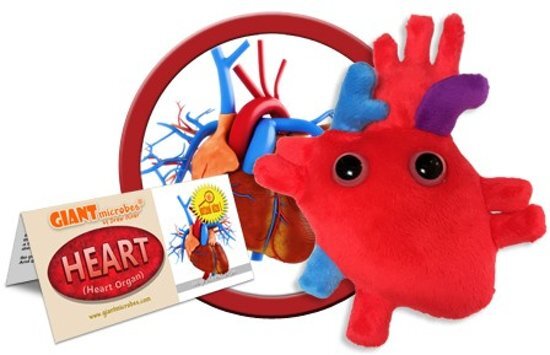 Giant Microbes Heart (Heart Organ