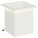 vidaXL Jardinière de jardin avec LED Blanc 30 x 30 x 30 cm Acier
