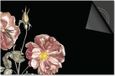 Dietrix Inductie beschermer 60x60 - DELUXE - Botanical - Klaproosjes op zwart