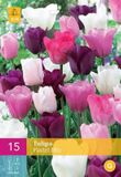 Jub Holland Tulpen Pastel Mix - 15 stuks