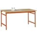 Manuflex BB3035.2001 table d'appoint stationnaire avec plateau en multiplex rouge-orange RAL 2001, LxlxH : 1250 x 600 x 780 mm Rouge-orange (RAL 2001)