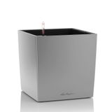Lechuza CUBE 50 - Plantenbak - Zilver - 50x50x50cm