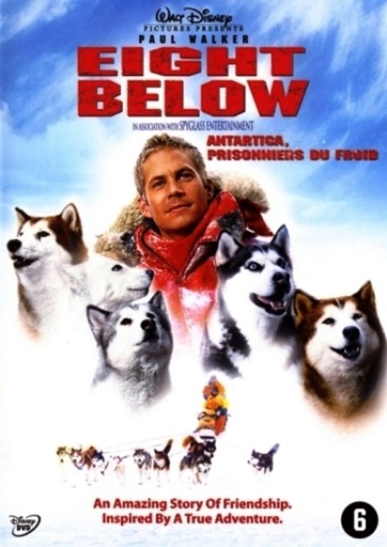 Walt Disney Home Entertainment Eight Below dvd