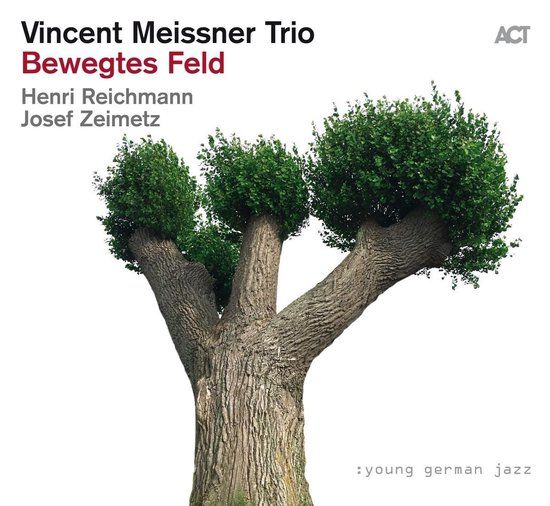 Bewegtes Act Music Vincent Meissner Trio - Bewegtes Feld