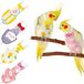 Omgoods Langes pour perroquets 4 pièces