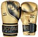 Joyagear Gants de boxe Evolution