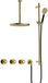Hotbath Cobber - CW7067 - Inbouw Regendoucheset - Geborsteld Messing PVD