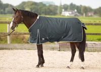 Harry's Horse Outdoordeken Thor 300 gr - 195 - Grijs