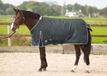 Harry's Horse Outdoordeken Thor 300 gr - 195 - Grijs