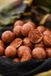 CCMOORE Pacific Tuna Pellets | 1kg 6mm