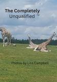 The Completely Unqualified™: Book of Completely Unqualified Ideas