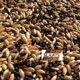 Binnevogels Kanarie Zangzaad Excellent - 2 kg