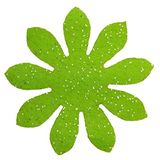 Petra's Knutsel-News 100x Marrite 40 mm, glittervilt, eenzijdig glitter, fliz, appelgroen, 18 x 12 x 5 cm