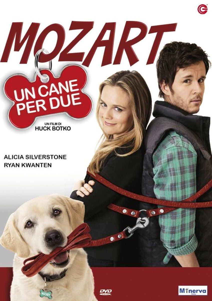 CG Entertainment Who Gets the Dog? DVD Engels, Italiaans