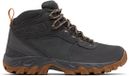 Columbia NEWTON RIDGE™ PLUS II SUEDE WP Heren Wandelschoenen - Dark Grey, Gold Amber