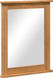 vidaXL Spiegel VIGO Honingbruin 55,5 x 5 x 70 cm Massief grenenhout