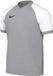 Nike T-shirt Kinderen Dri-FIT Trophy VI Grijs - Maat L