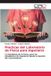 Practicas Editorial Academica Espanola Practicas del Laboratorio de Física para Ingeniería