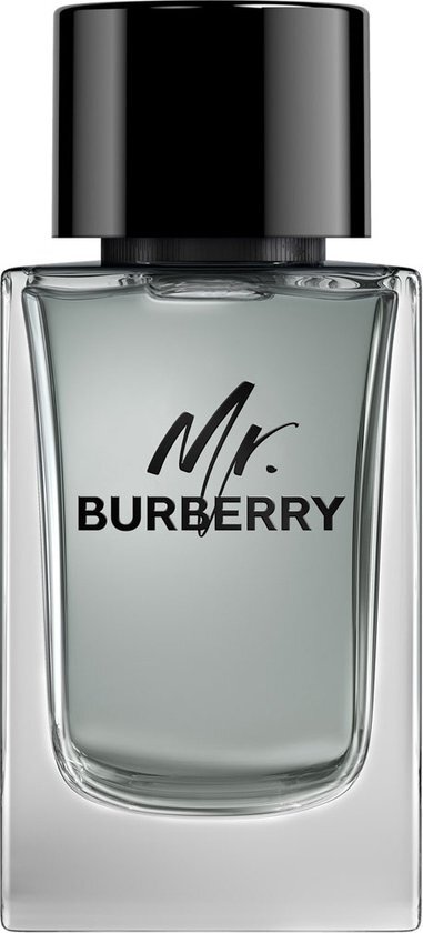 Burberry Mr. Burberry eau de toilette / 150 ml / heren