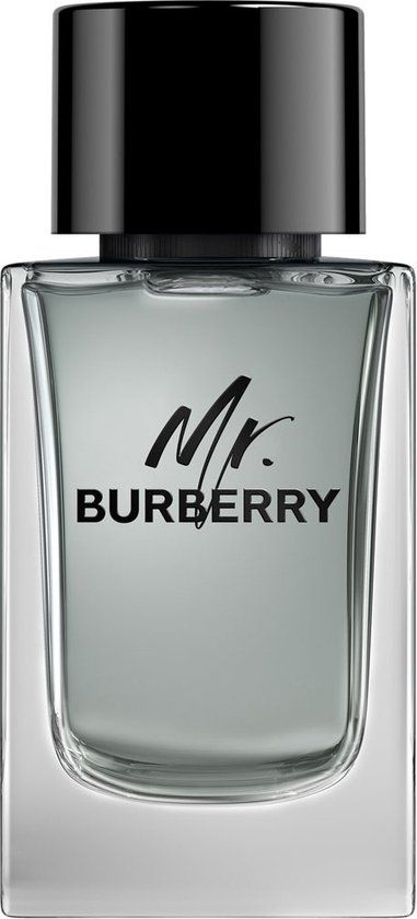 Burberry Eau de Toilette / 150 / Men