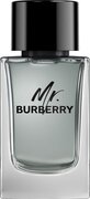 Burberry Mr. Burberry eau de toilette / 150 ml / heren