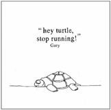 Sonic Rendezvous Gary - Hey Turtle, Stop Running! (CD)