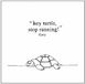 Sonic Rendezvous Gary - Hey Turtle, Stop Running! (CD)