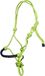 HKM Western Strass Westers Halster Limoen/Marine Pony
