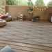 Northrugs Binnen & buiten vloerkleed Pella - taupe/beige 160x230 cm
