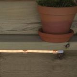 STAR TRADING Startkabel voor LED lichtslang NEOLED REEL