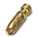 Phoenix Contact 1674820 kabel-connector Goud