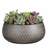 Mica Decorations Bloempot / schaal Madeira - zilver - terracotta - 13 x 27 cm - schubbenpatroon